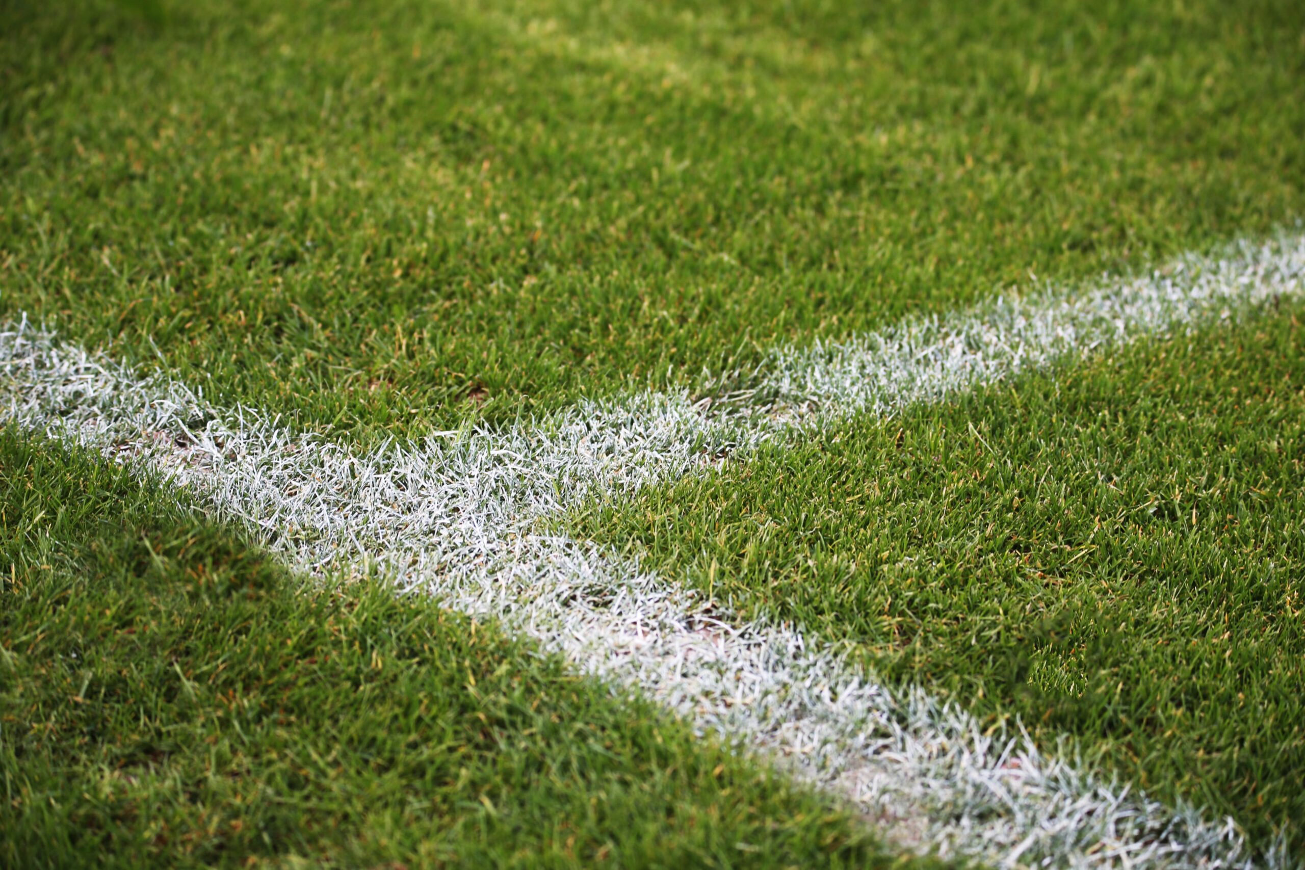 closeup-shot-painted-white-lines-green-soccer-field-germany (1)